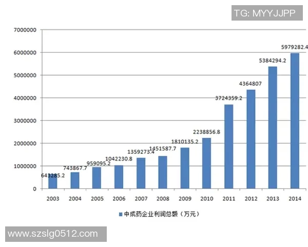 中国足球市场的崛起与挑战：解析未来发展趋势与投资机遇
