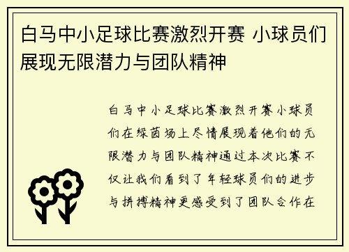 白马中小足球比赛激烈开赛 小球员们展现无限潜力与团队精神